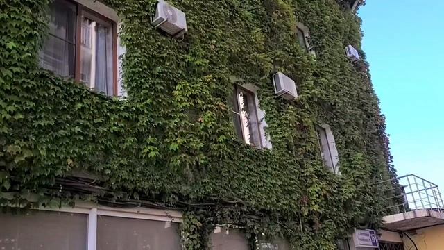 Бархатный сезон в СОЧИ 8.10.25