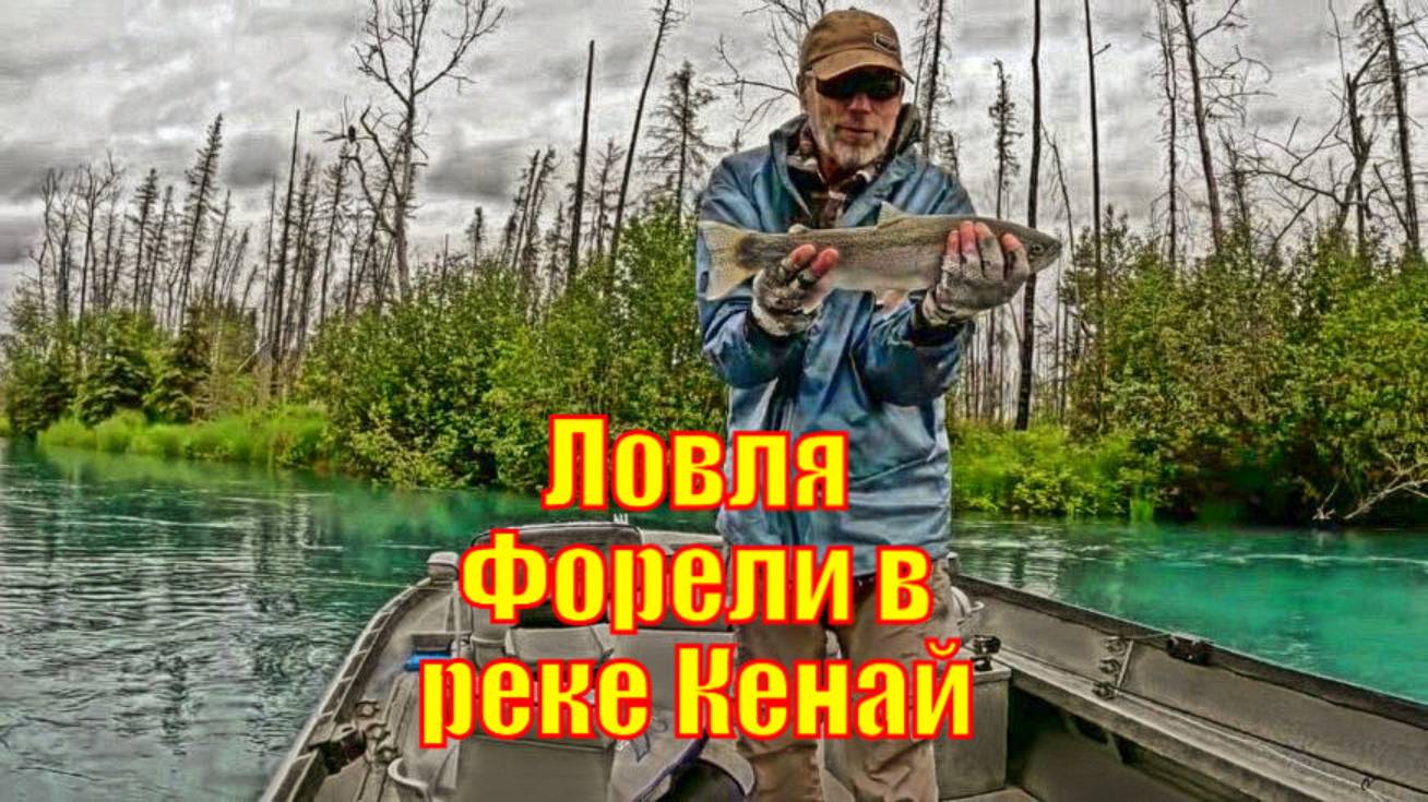 Ловля Форели в реке Кенай