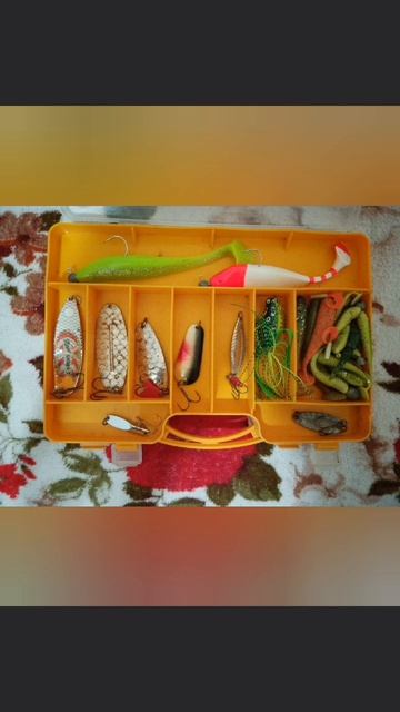 Мой рыболовный скарп для ловли хищной рыбы на Спиннинг🎣