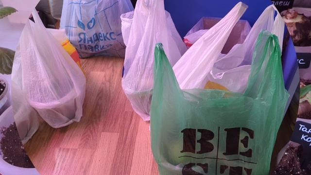 09-10-2025. Орхидеи и  Гиппеаструмы.