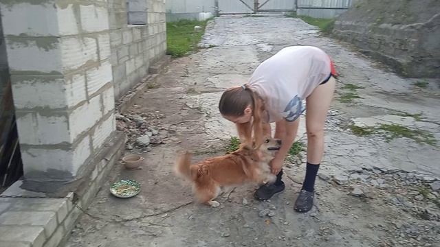 7.8.25г. 🦮ЖУЛИК безумно рад Встречи с АЛЕКСАНДРОЙ!!!