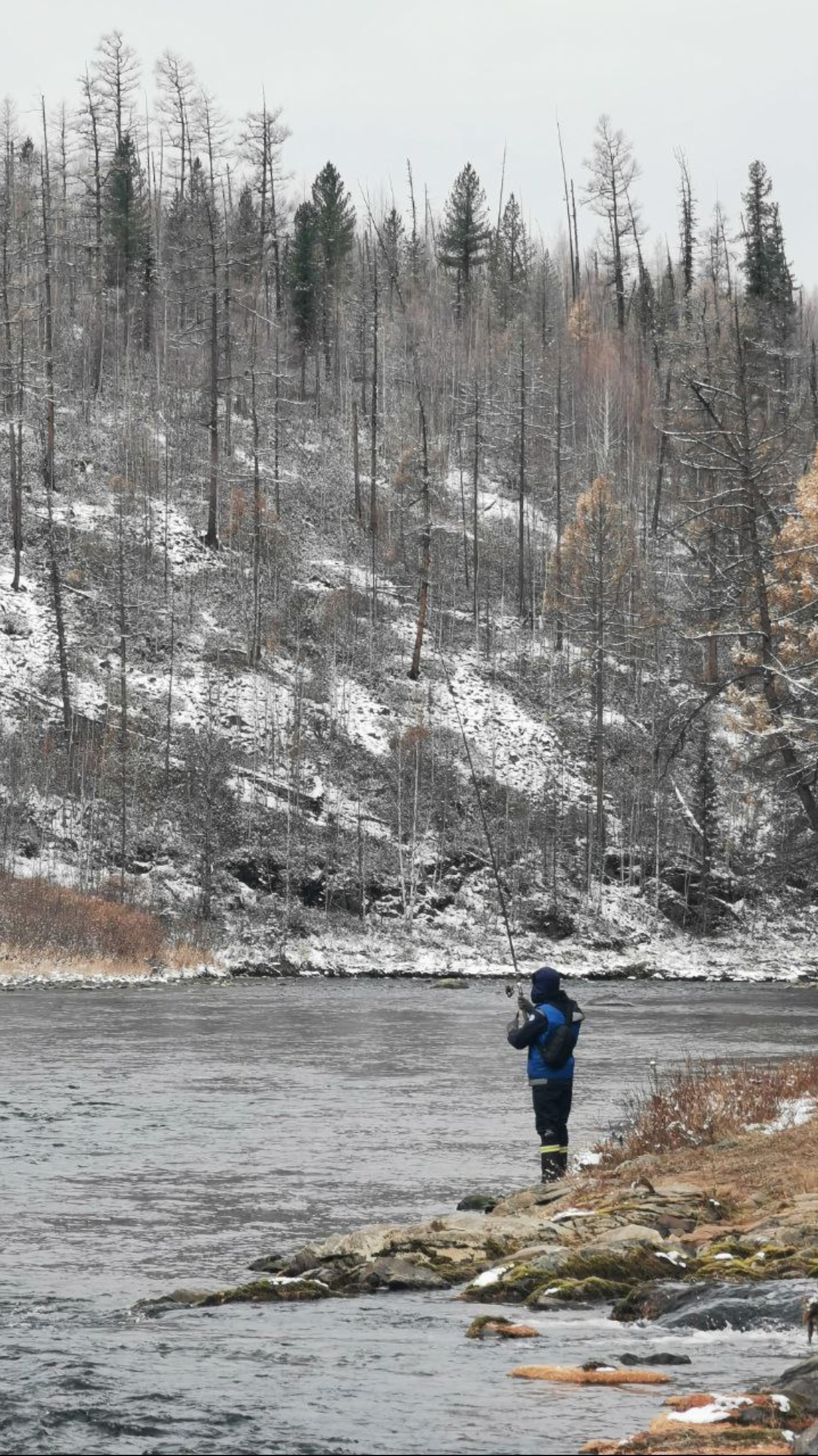 Сказочная тайга 🌳