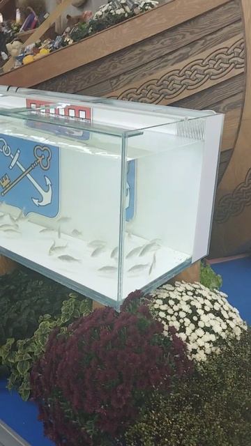 Российская агропромышленная выставка «Золотая осень». Зал регионов (8)