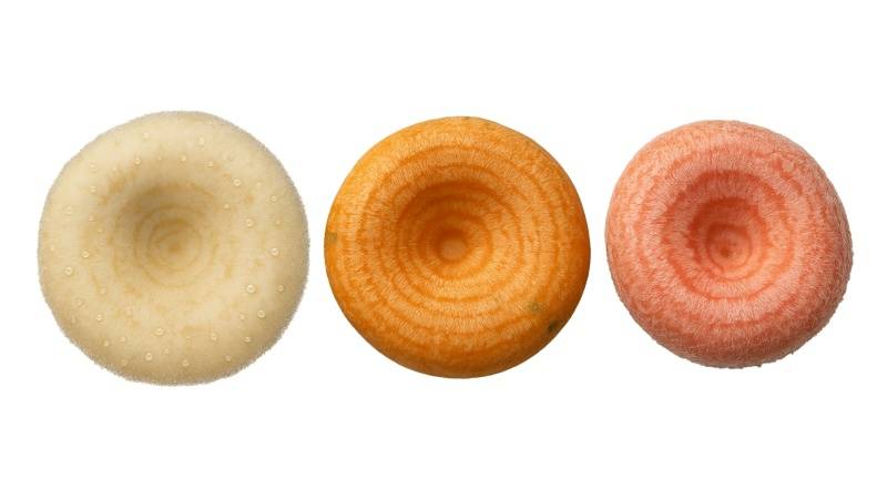 Для новичков. Грузди, рыжики, волнушки. Михаил Вишневский