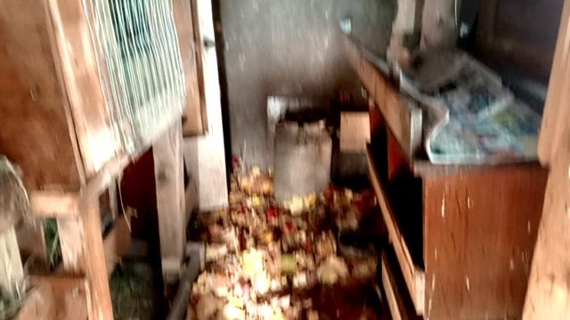 Подстилка из листьев в сарае для индоуток