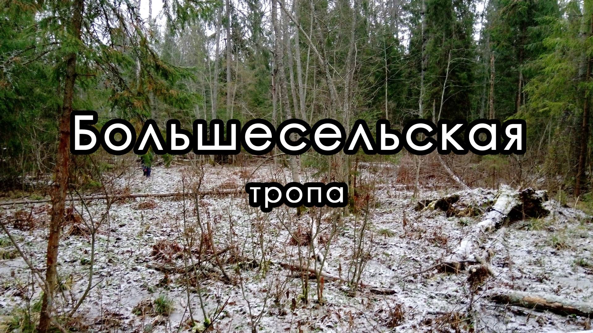 Разведка сегмента Большесельской тропы в Ярославской области.