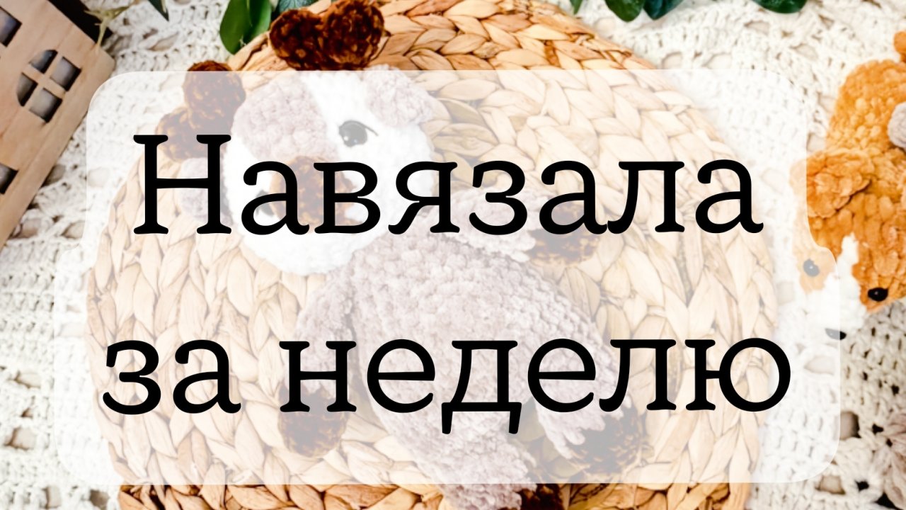 вязовлог 40/2025 навязала за неделю