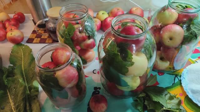 Рецепт моченых яблок.