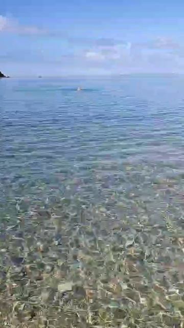 Бухта Прозрачная - Японское морюшко