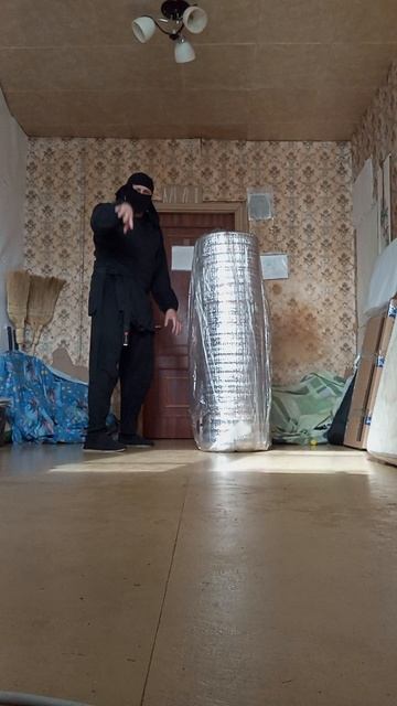 Very Nordic Ninja: Secret Cave Eagle Kick! / Крайне Северный Ниндзя: Удар Секретного Пещерного Орла!