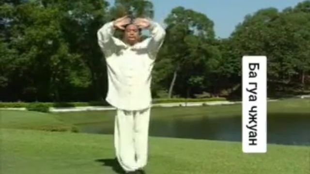 Комплекс Чжаньчжуан (Стояние столбом) в Фунейпай Тайцзицюань