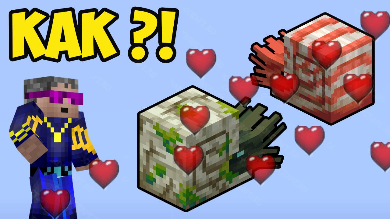 КАК НАЙТИ И ПРИРУЧИТЬ НАУТИЛУС в Майнкрафте БЫСТРО (2025)