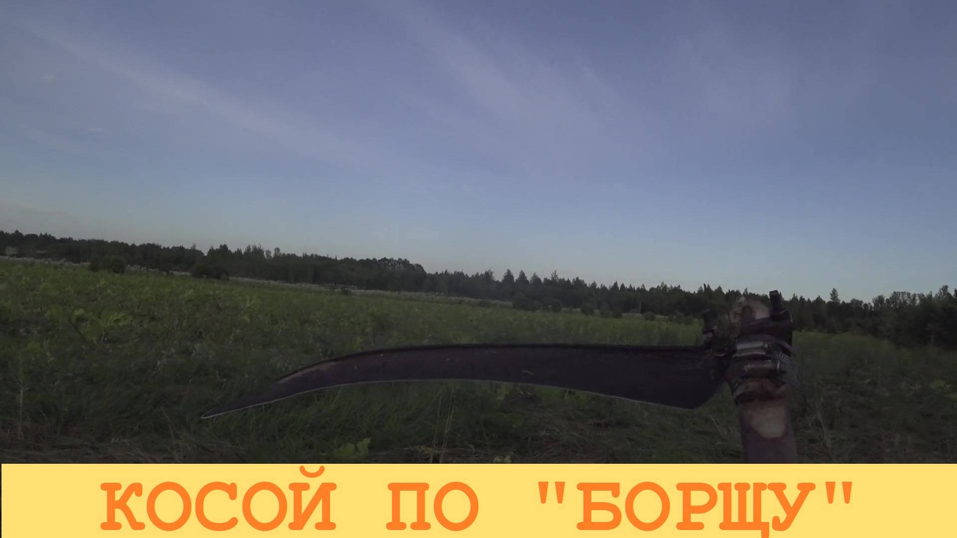 2025 Июль. Пройдусь-ка я по полюшку с косой...