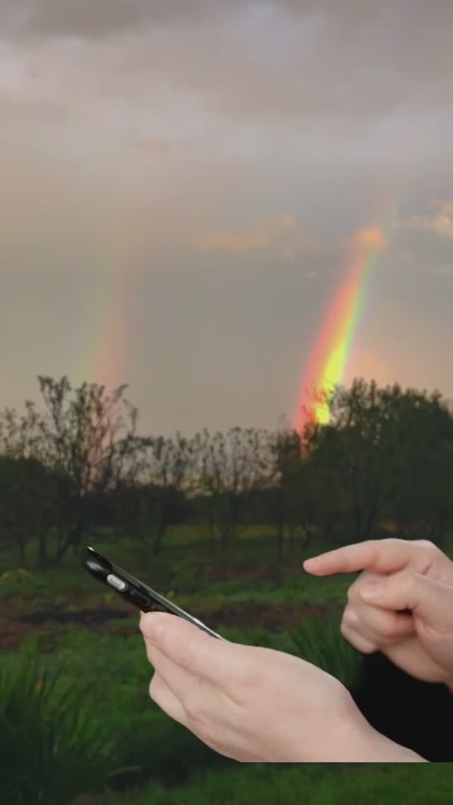 Красота! Вечер после дождя.