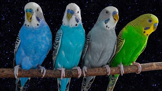 Почему скрывают нашу Историю, чтобы её не вспомнили