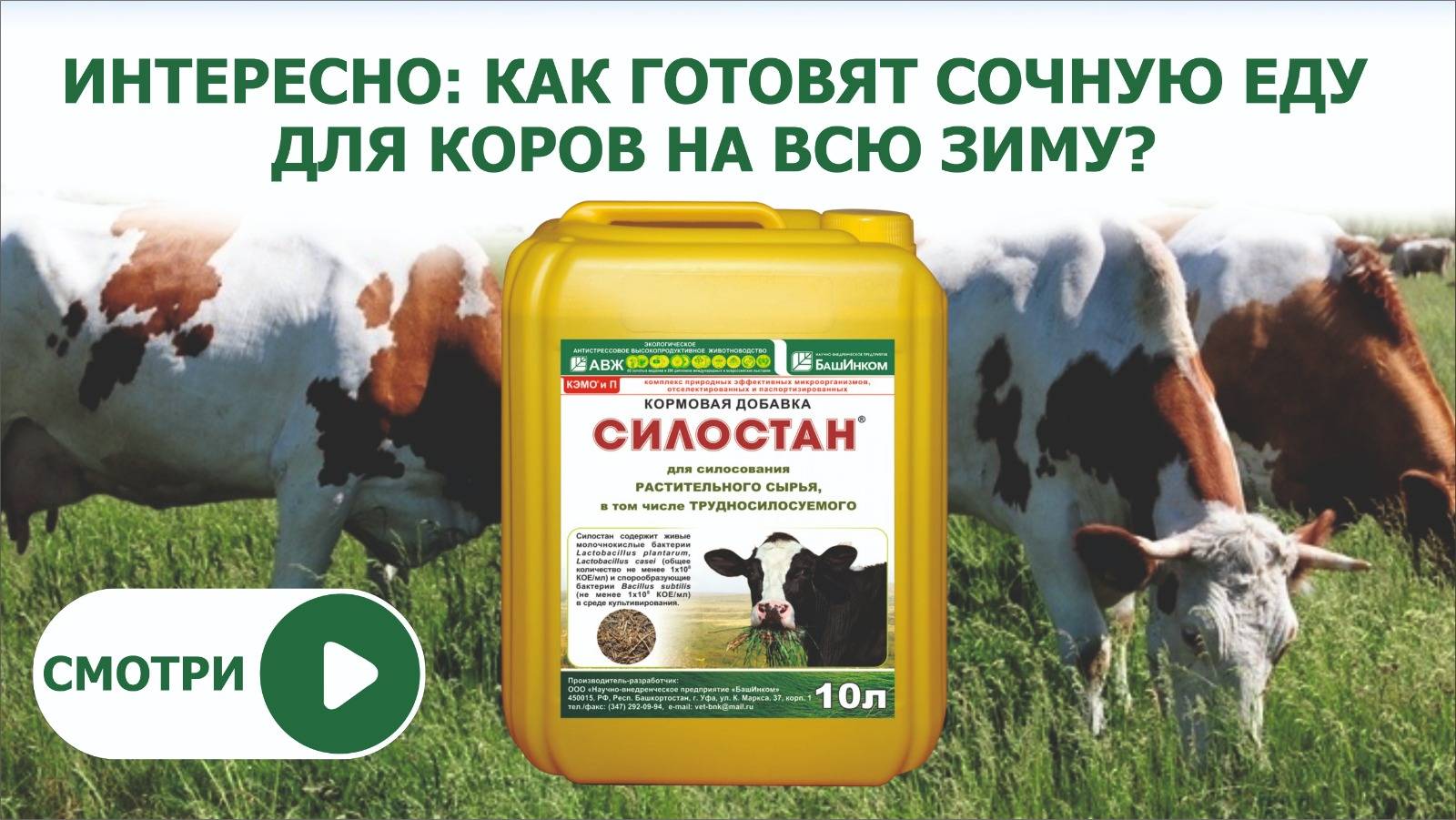 Качественные корма, как их сделать для КРС? Силостан — незаменимый помощник. Смотри видео