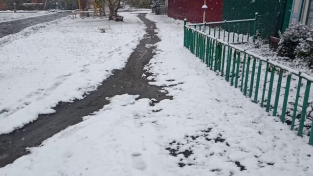У нас в Омске выпал первый серьезный снег!