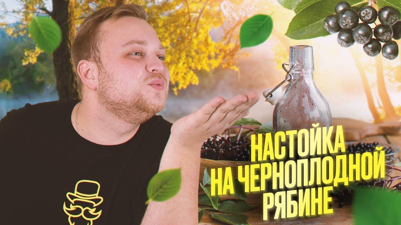 Как сделать настойку на черноплодной рябине: рецепт