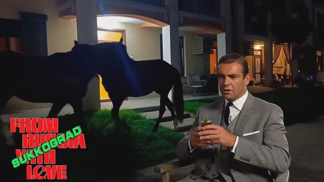007. Джеймс Бонд в ЖК Кипарис Сукко. Как лошади мешают отдыхающим