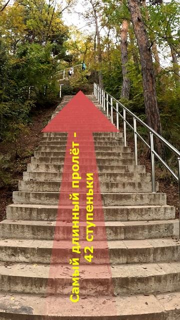 453 ступеньки на гору Сосновая за 60 секунд ⛰