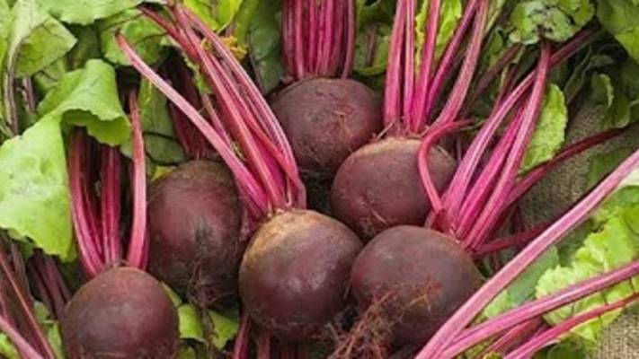 Борщевая заправка в автоклаве. Маринкины творинки. Всем МИРА и Добра!