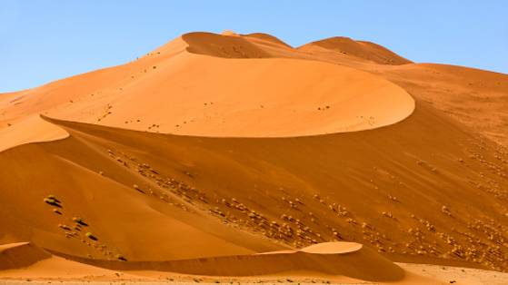 The Namib Desert