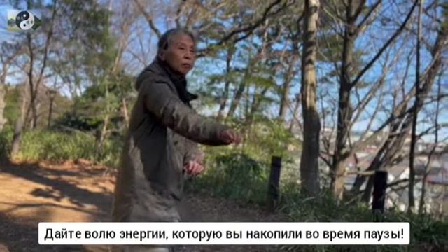 068 лабиринты кунфу