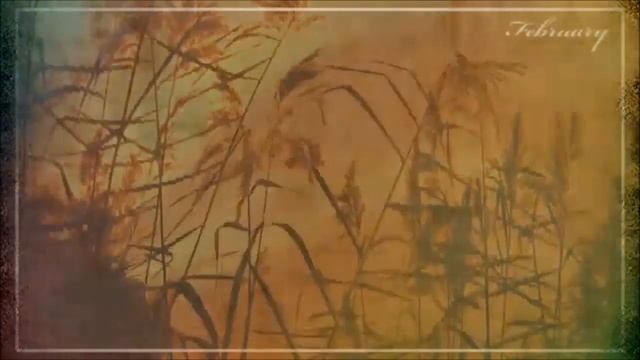 Ольга Павенская - Я жду тебя @pavenska1