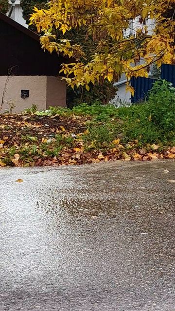 Кисловодский нарзан?) 🧐