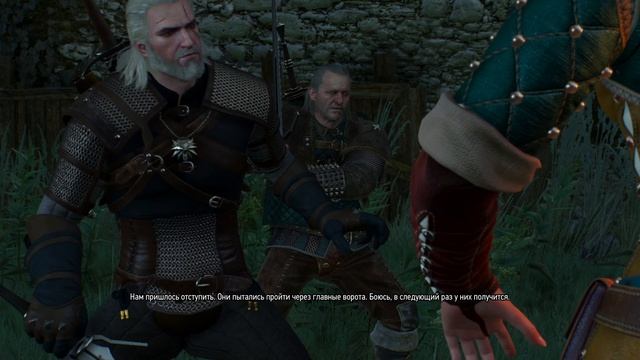 The Witcher 3 Wild Hunt ч31