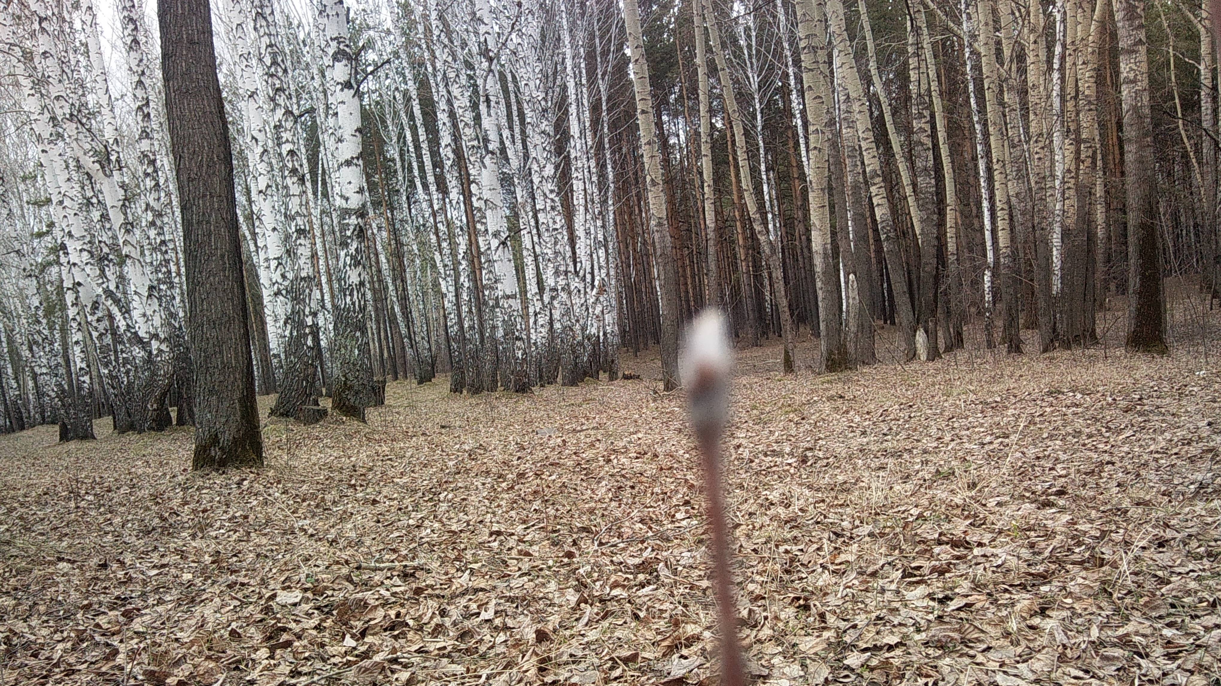 Leonid_Tugutov_-_Sovremennaya_guna_strasti._ZHencshiny._Vozhdelenie._Sram