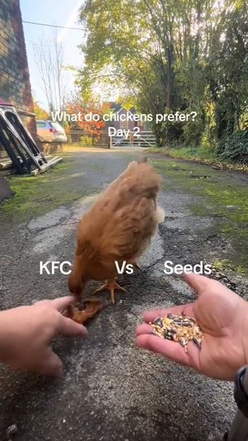 Вкусно и грустно