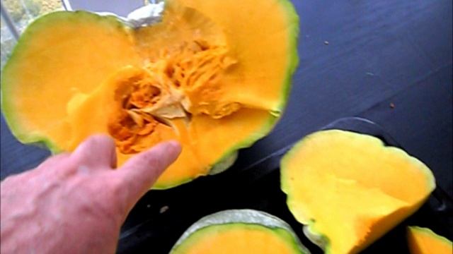 Тыква сорт Зимняя сладкая