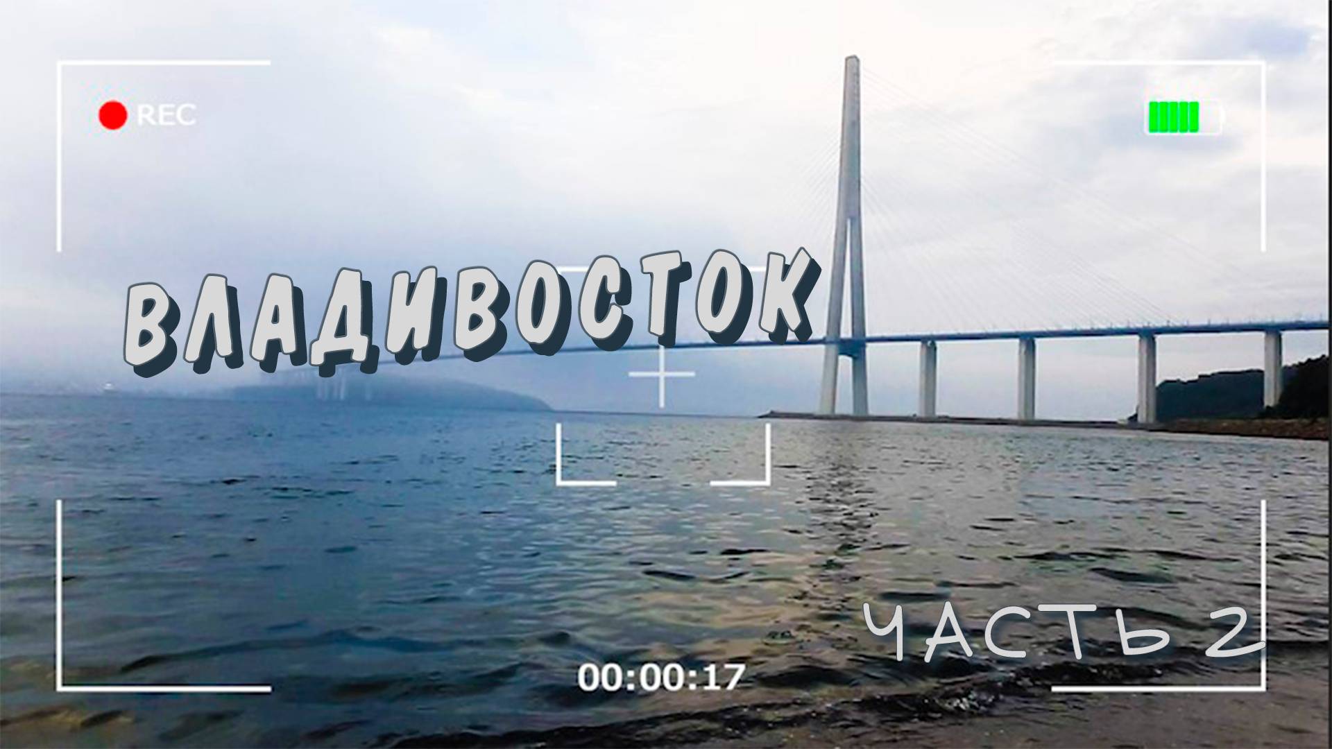 Приморский океанариум. Владивосток 2025. Часть 2.