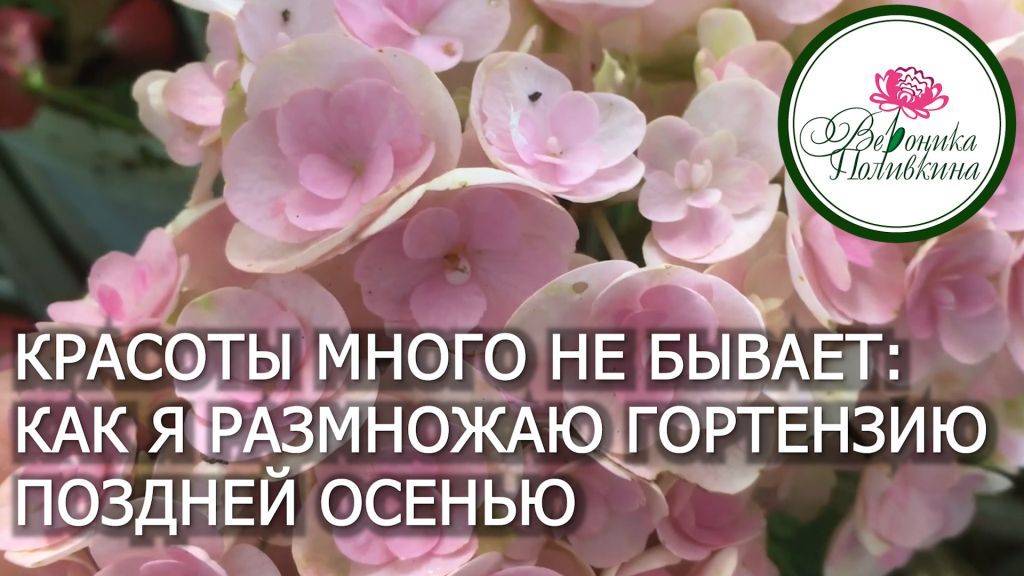 Как отходы превратить в доходы