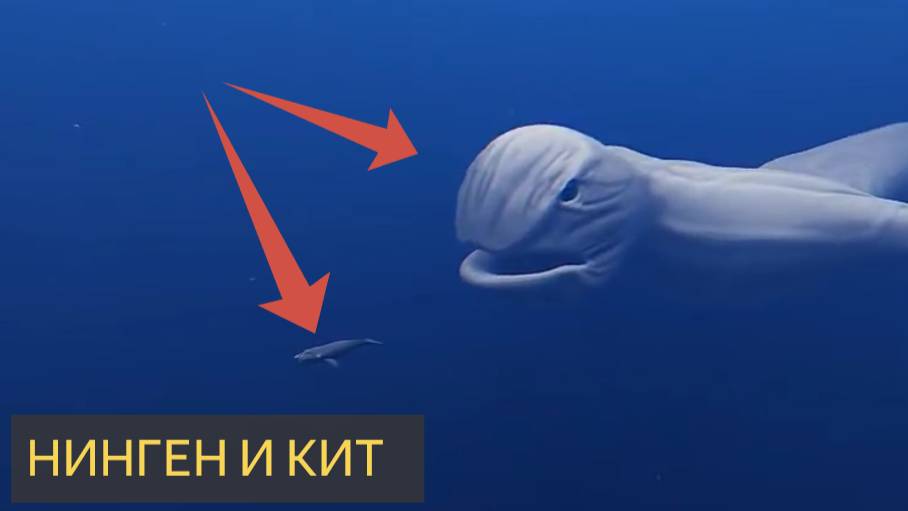 НИНГЕН И КИТ