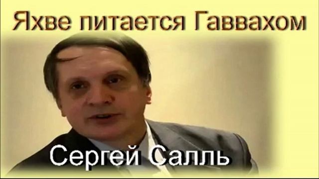 Яхве питается Гаввахом. Часть 1. С.А. Салль