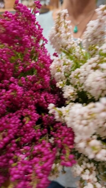 Что такое осень?  Это небо.