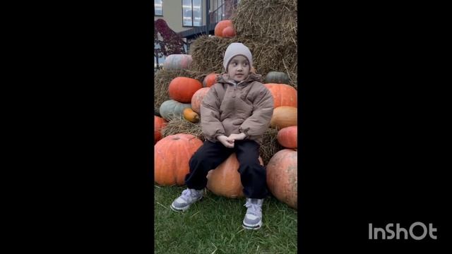 онлайн-конкурс «Осенняя поэзия» Дунина Василиса, группа 5 «Светлячок»