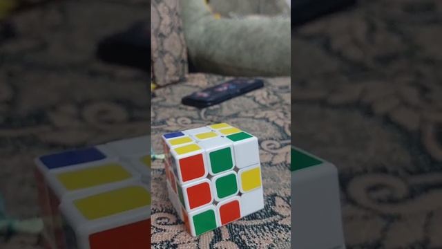 И.Н.К.Д. 6 (1 часть), Самый странный обджект