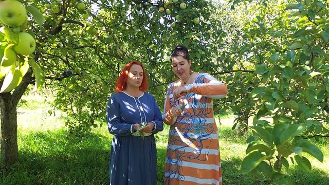 2509_все_из_ничего_скрутки_из_полыни