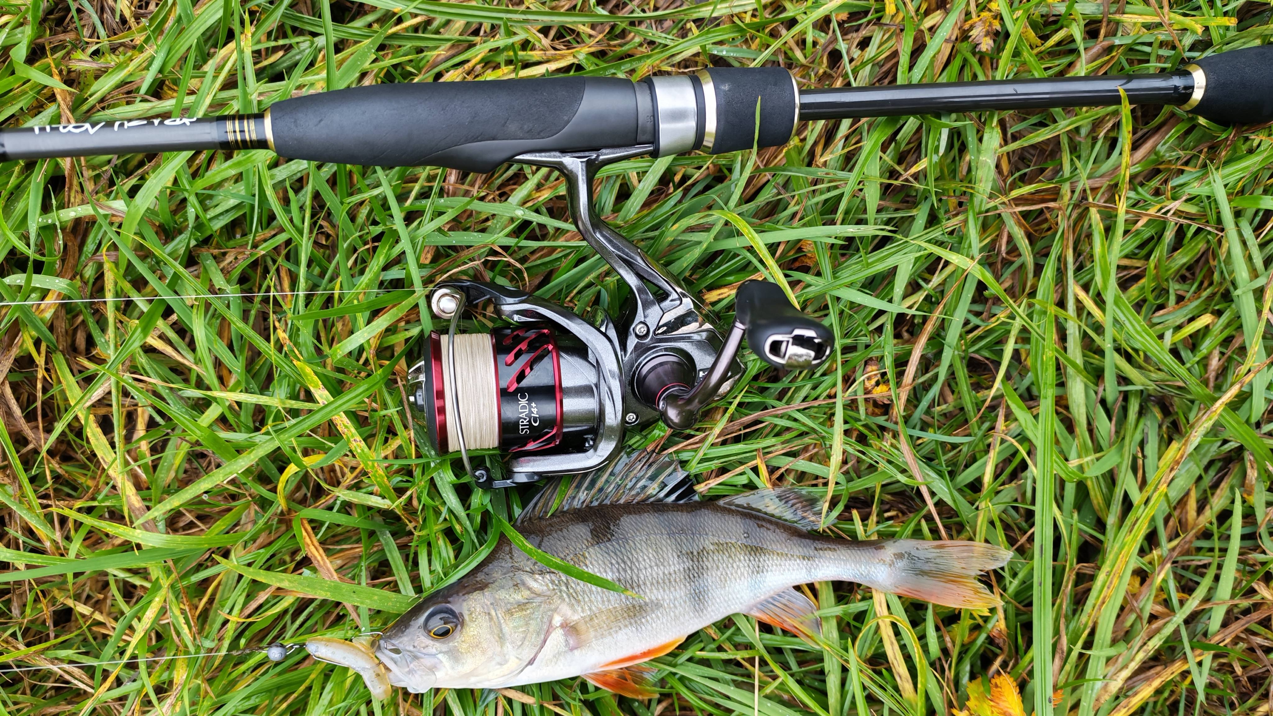 Десна. Между мостов, 10 октября 2025 года