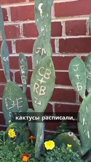 Сегодня мы в самом сердце Техаса — Форт-Уэрт. 🐂