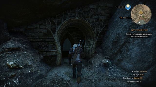 The Witcher 3 Wild Hunt ч36