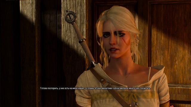 The Witcher 3 Wild Hunt ч35