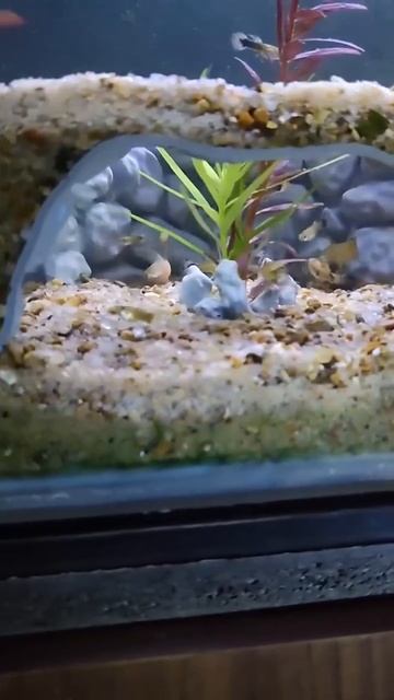 Нора_пользуется_спросом_😁