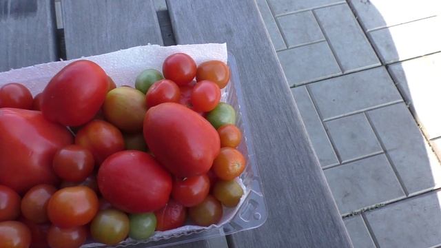 Последние помидоры