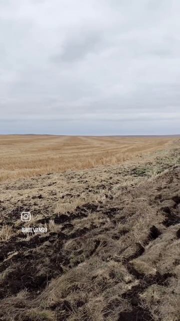 Осенний вайб