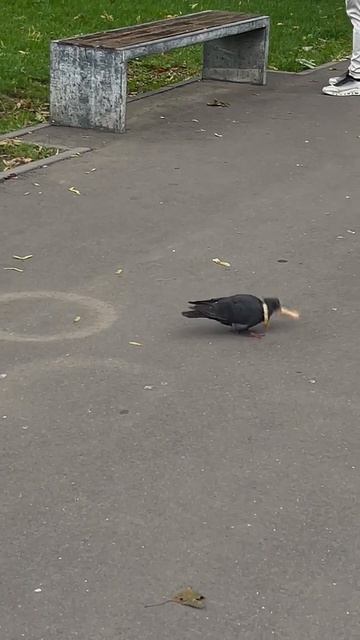 В его глазах это было круто. В моих тоже