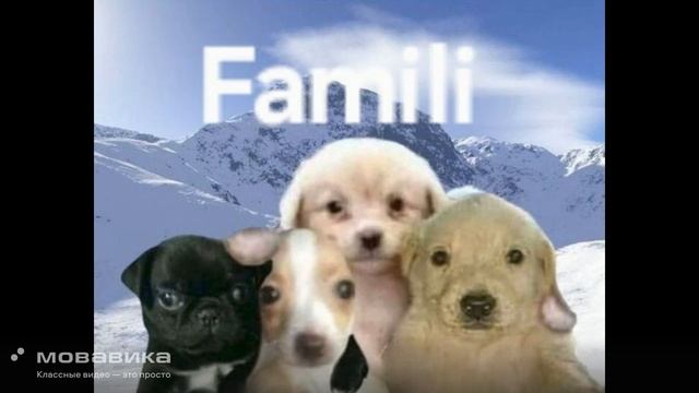 СР-125_Каштанова Екатерина_Kosygin students at home and on the road